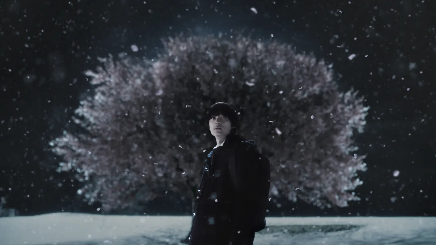 5 Centimeters Per Second
