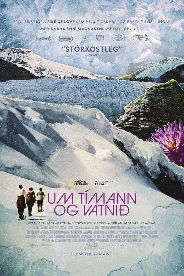 Póster oficial de Um tímann og vatnið