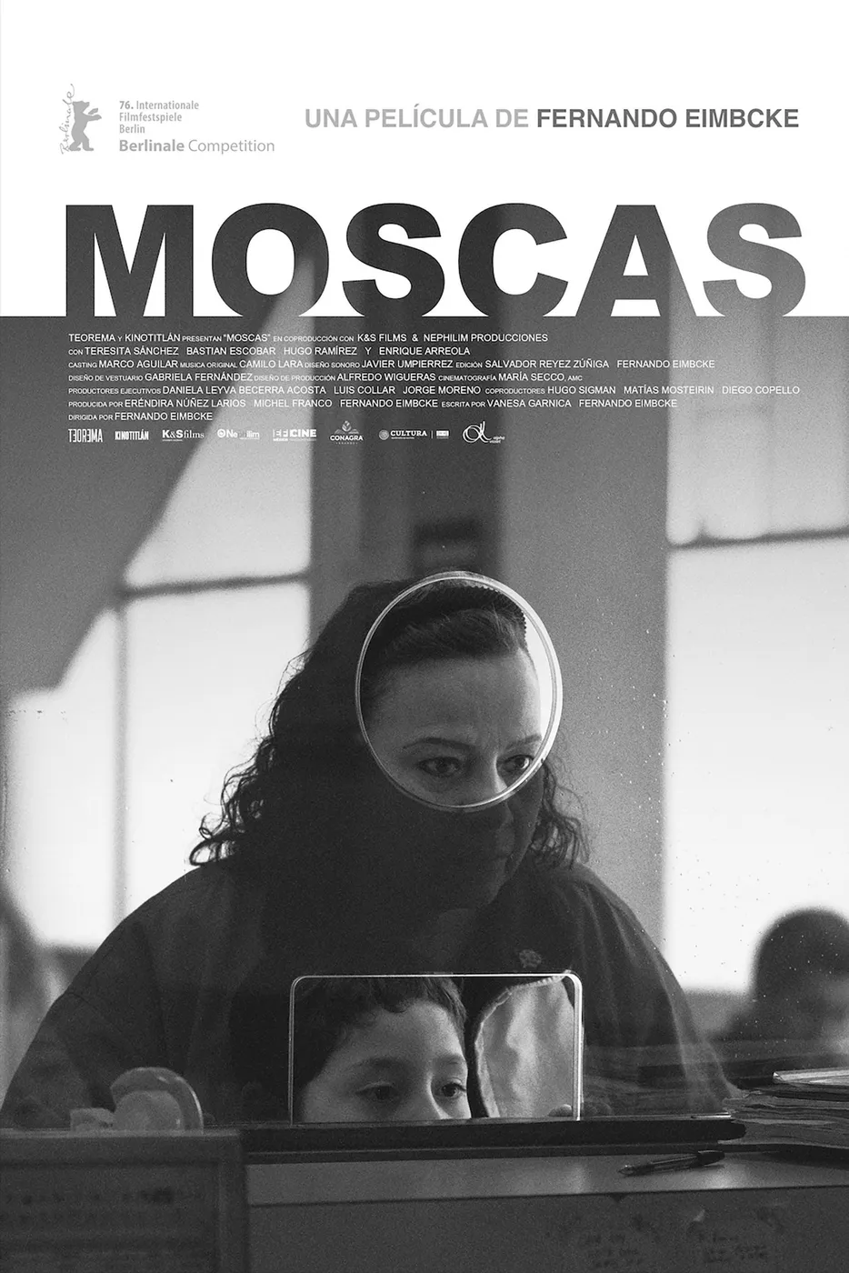 Official movie poster for Moscas