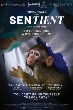 Official movie poster for Movies That Matter on Tour: Sentient in cinemas in Middelburg